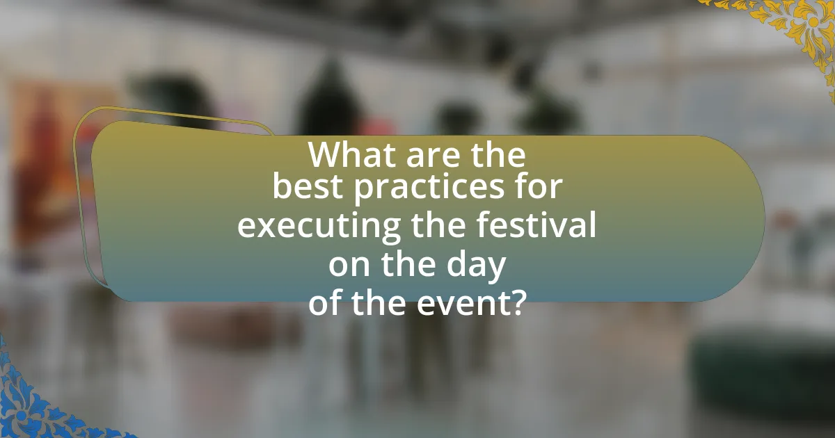 What are the best practices for executing the festival on the day of the event?